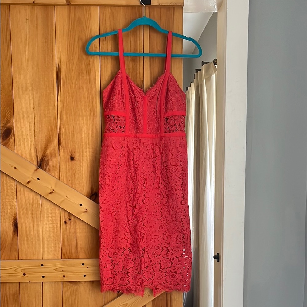 Express Red Lace Mini Dress